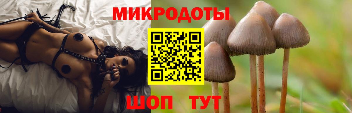 Галлюциногенные грибы Magic Shrooms  где можно купить   Нижний Новгород  Вход с VPN 